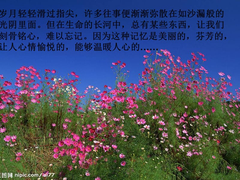 开在记忆深处的花朵课件_第1页