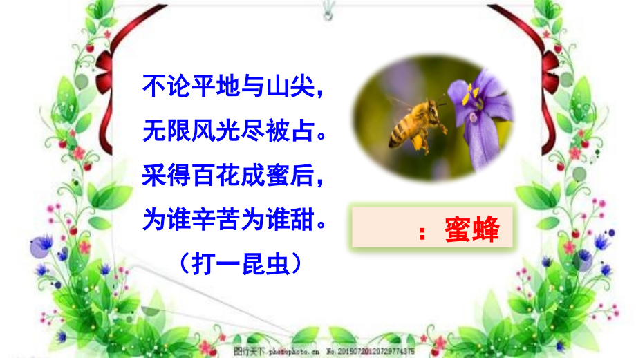 部编三下14蜜蜂课件_第1页