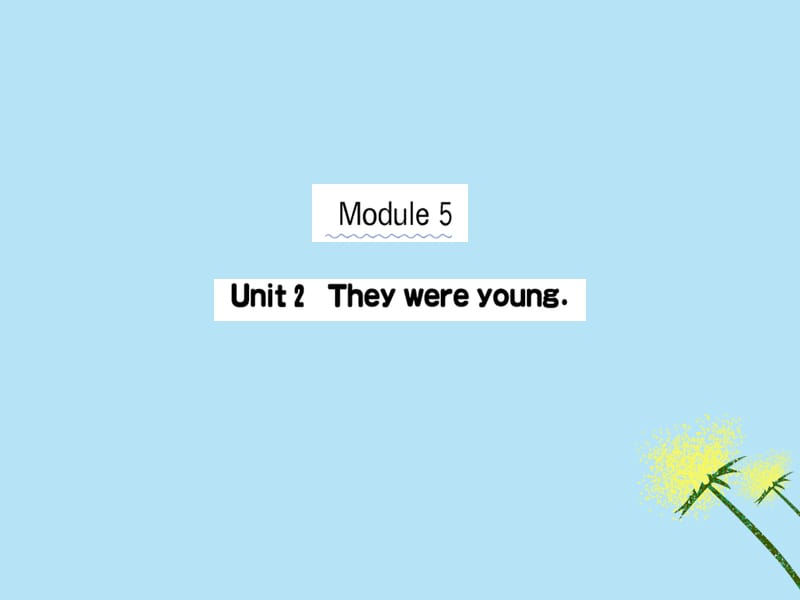 四年级英语下册Module5Unit2Theywereyoung作业课件外研版（三起） 修订_第1页