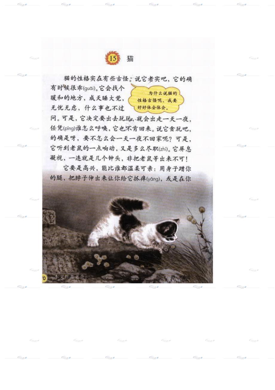 (人教新课标)四年级语文上册《猫》电子教材（新编写）_第1页