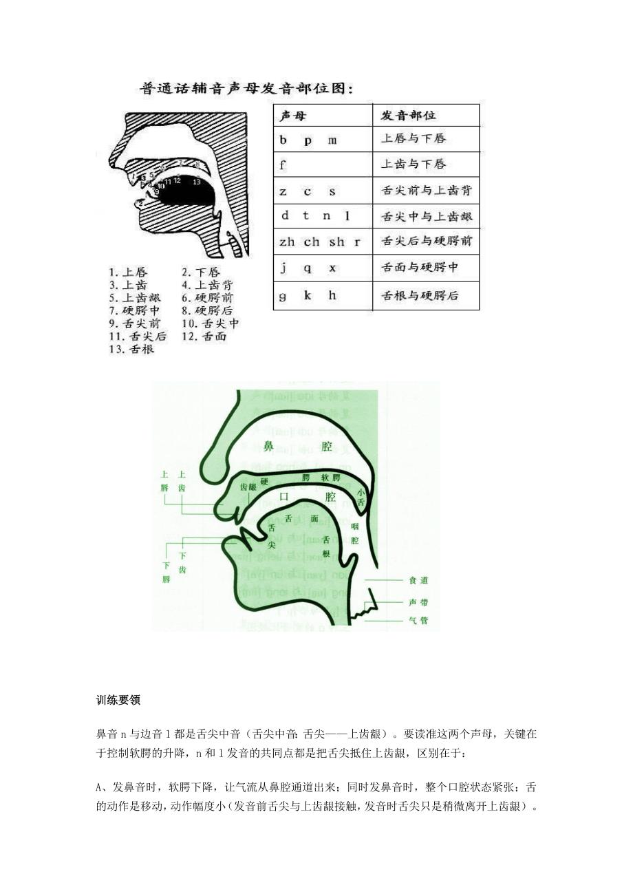 鼻音边音训练要领(最新版)（最新版-修订）新修订_第1页