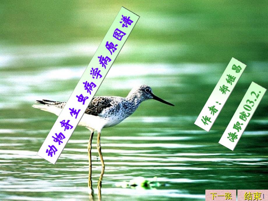 动物寄生虫病学病原图谱参考PPT_第1页