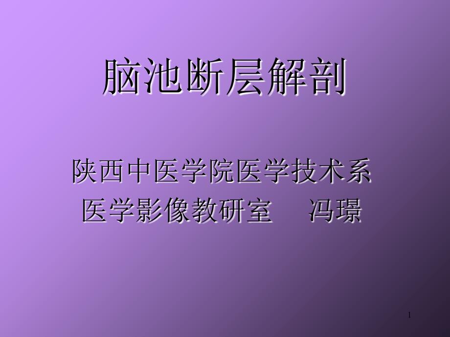 《脑池断层解剖》_第1页