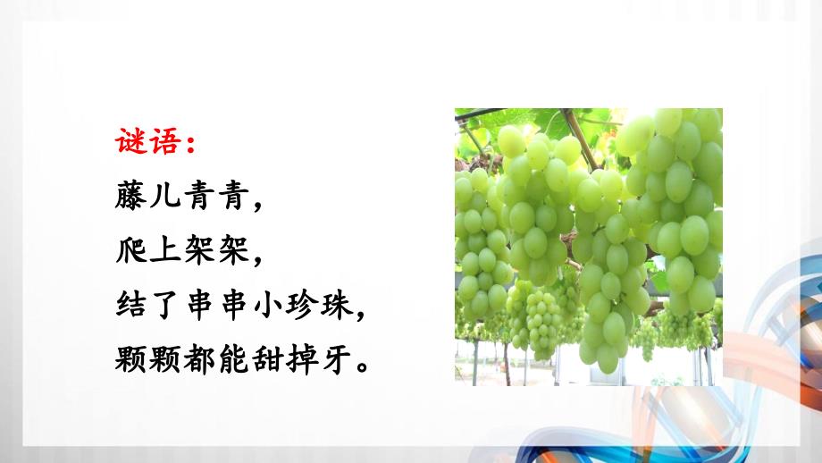 部编二年级语文上册11.葡萄沟_第1页