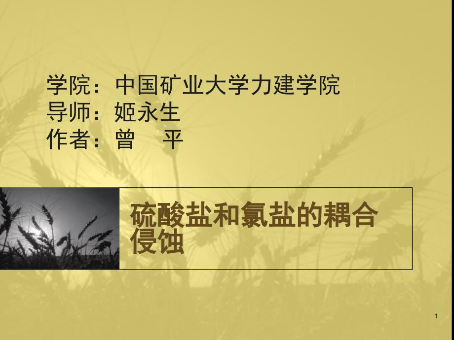硫酸盐和氯盐的耦合侵蚀PPT_第1页