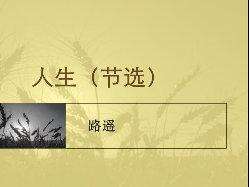 人生(节选)_第1页