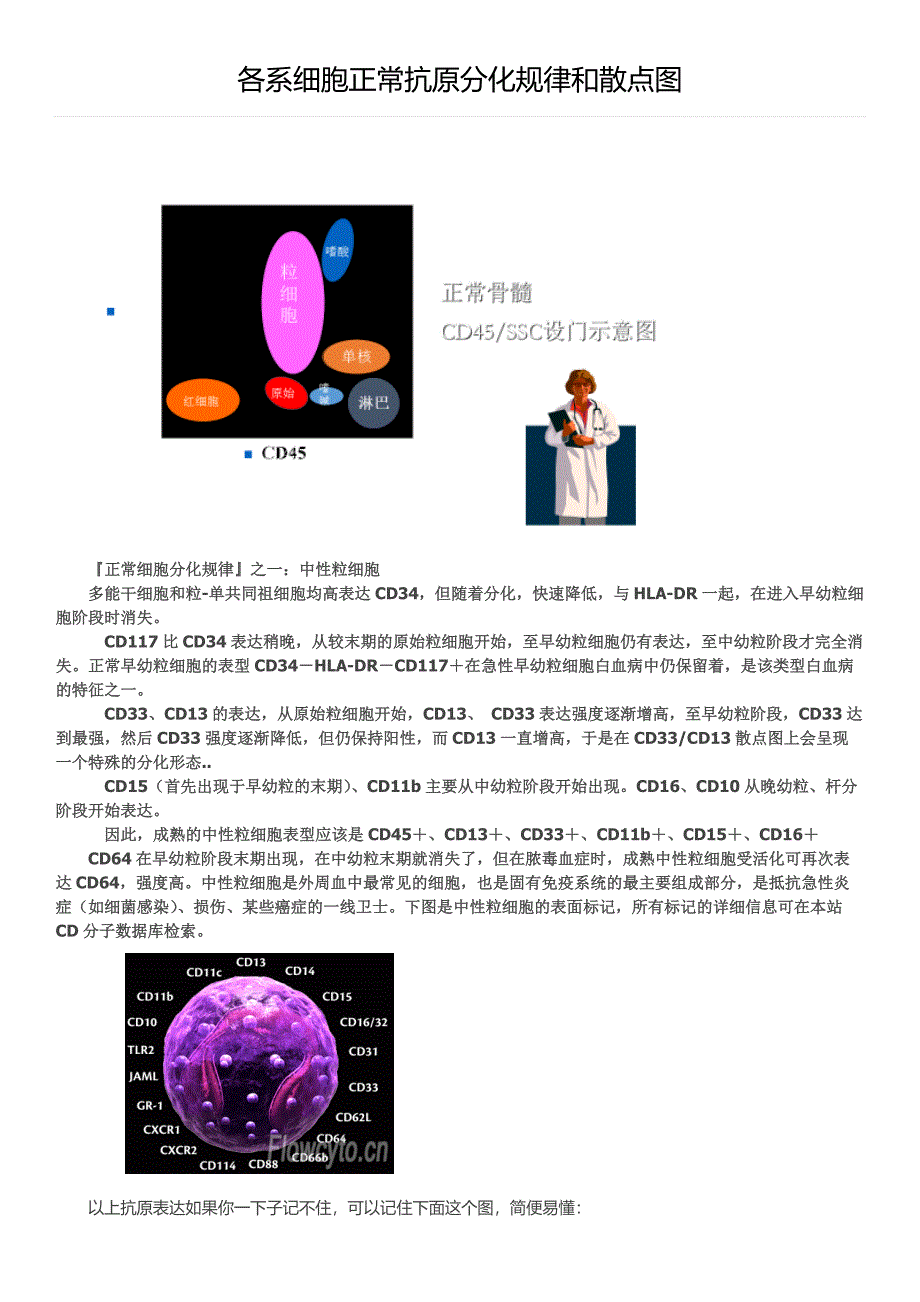 各系细胞正常抗原分化规律和散点图[汇编]_第1页