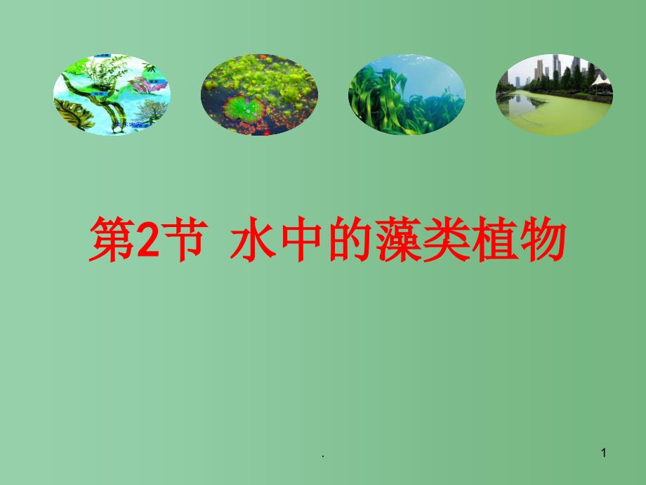 七年级生物下册 10.2 水中的藻类植物课件 （新版）苏科版_第1页