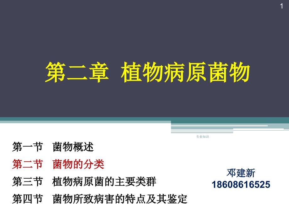 菌物的分类【知识研究】_第1页
