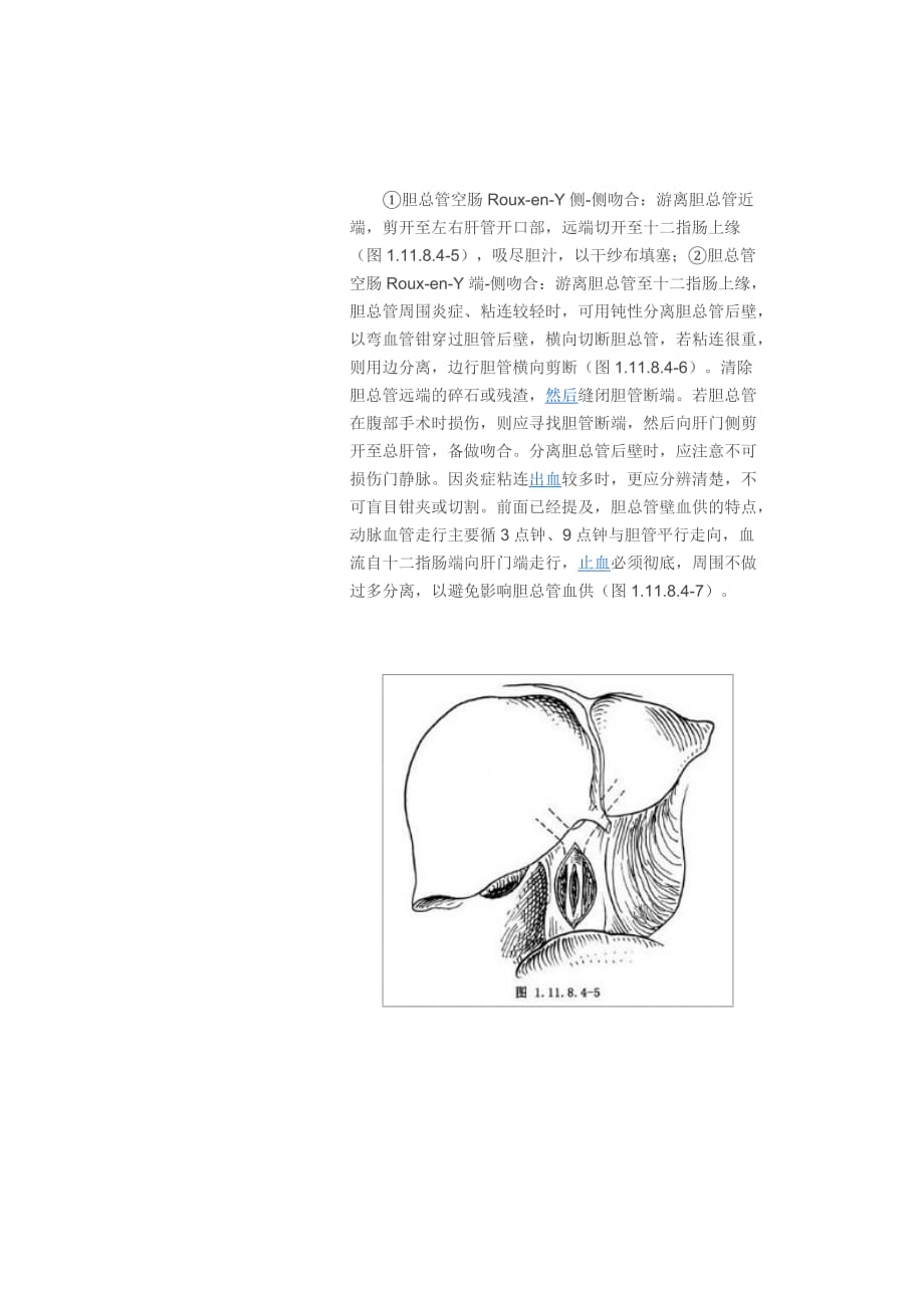 胆总管空肠Roux_第1页