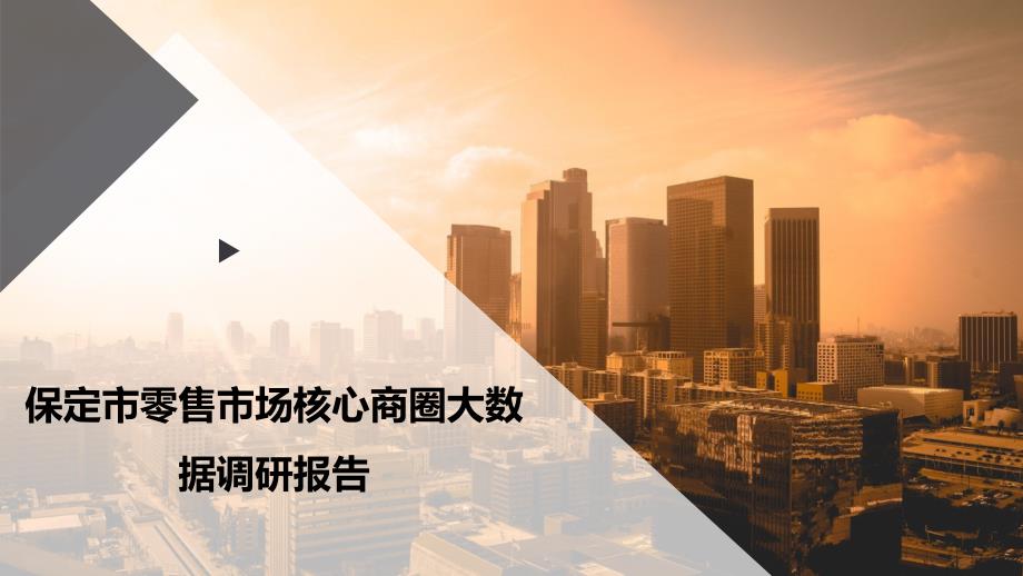 保定市零售市场核心商圈大数据调研报告_第1页