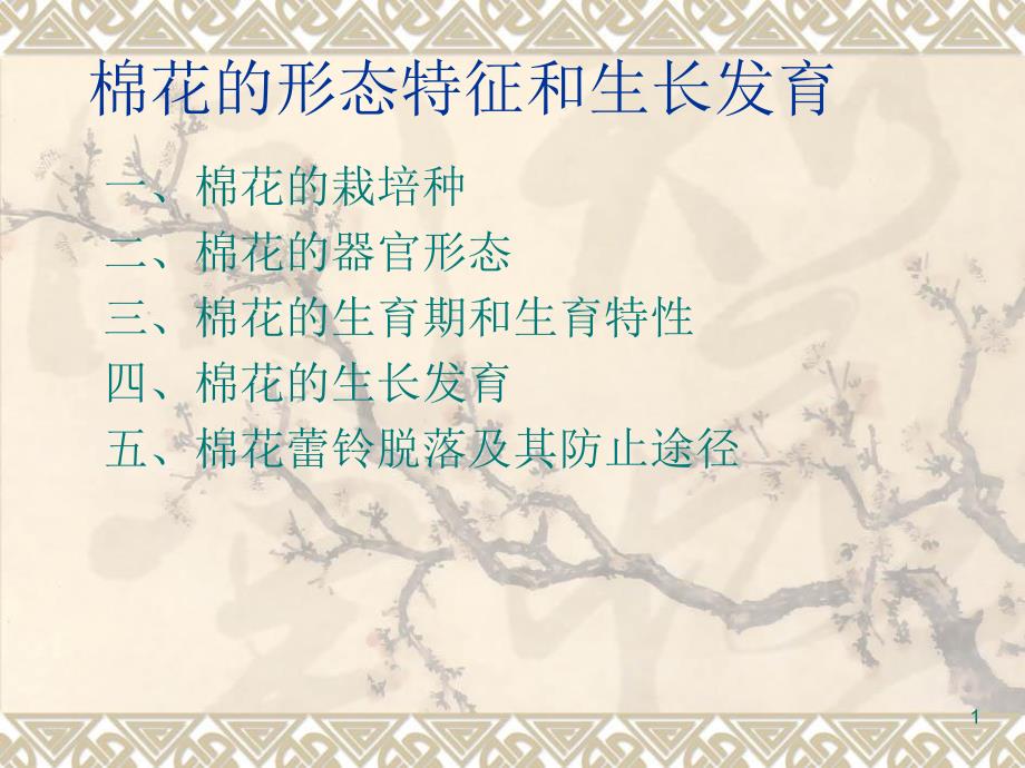 棉花的形态特征和生长发育-PPT课件_第1页