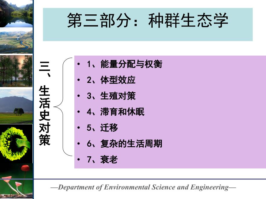 生活史对策培训资料_第1页