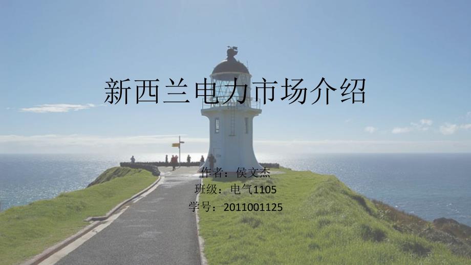 新西兰电力市场介绍幻灯片_第1页
