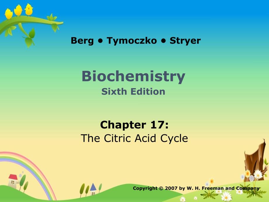 上海交大 生物化学831 精品讲义：17 The Citric Acid Cycle_第1页