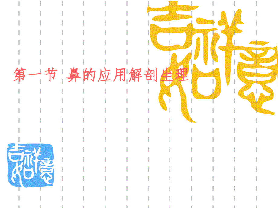 鼻解剖应用生理_第1页