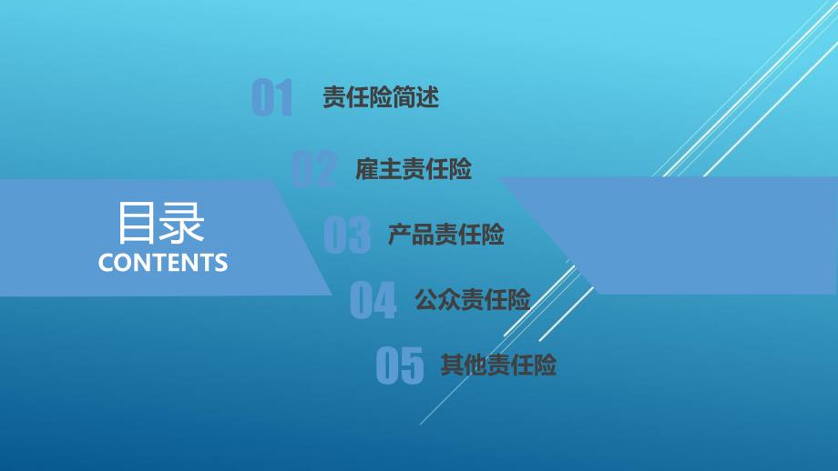 常用责任险介绍_第1页