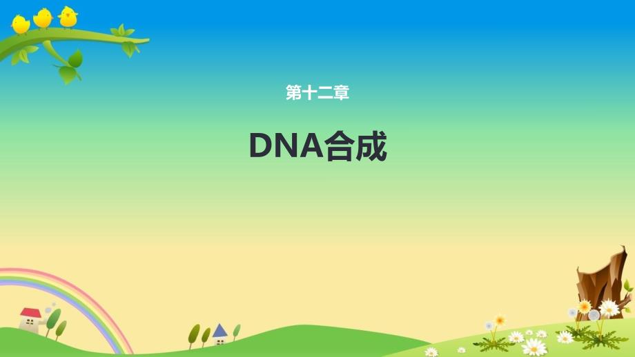优秀本科课件《生物化学与分子生物学第九版》：第十二章DNA合成_第1页