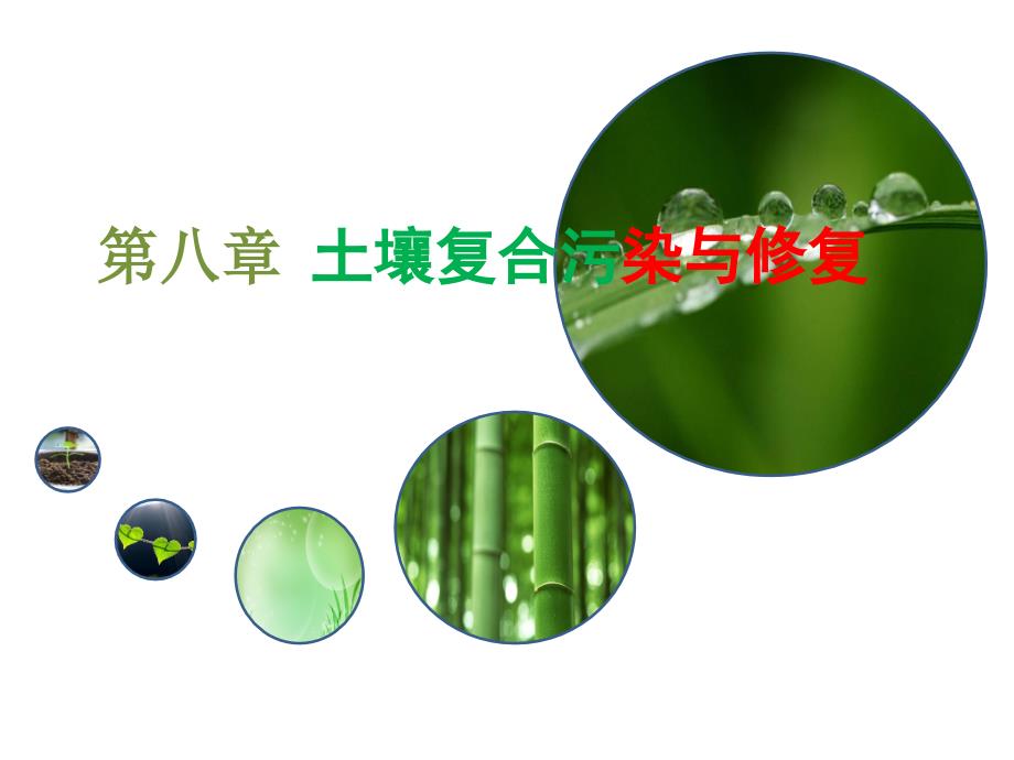 第八章土壤复合污染与修复_第1页