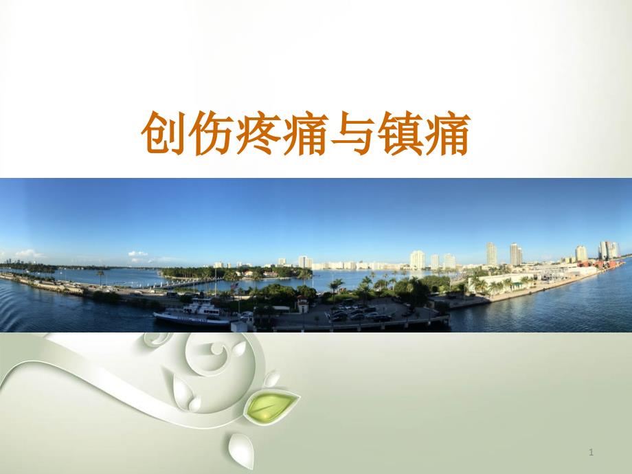 （优质医学）创伤疼痛与止痛_第1页