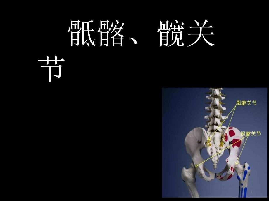 （优质医学）骶髂髋关节_第1页