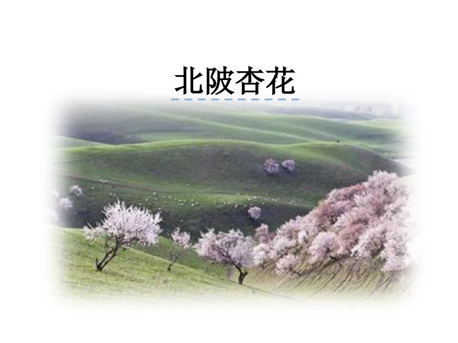 六年级语文上册 古诗三首 北陂杏花 教科版_第1页
