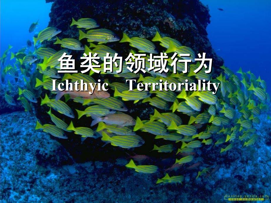 鱼类行为学概论2【鱼类行为生态学】_第1页