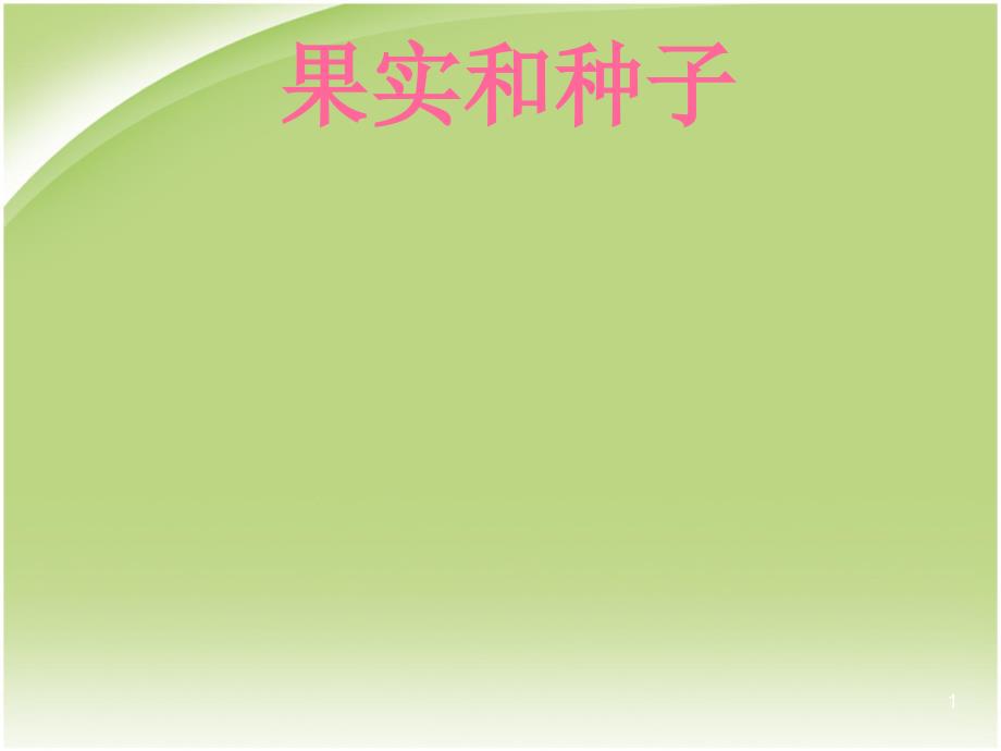 （优质医学）药用植物学《果实和种子》_第1页