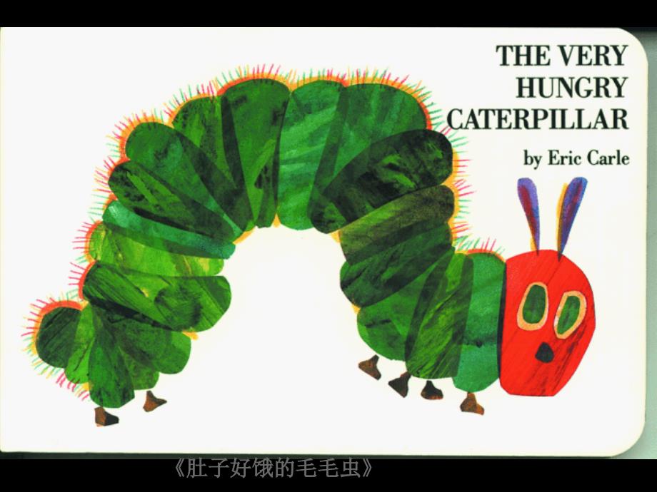 肚子好饿的毛毛虫（一年级上）绘本故事PPT课件_第1页