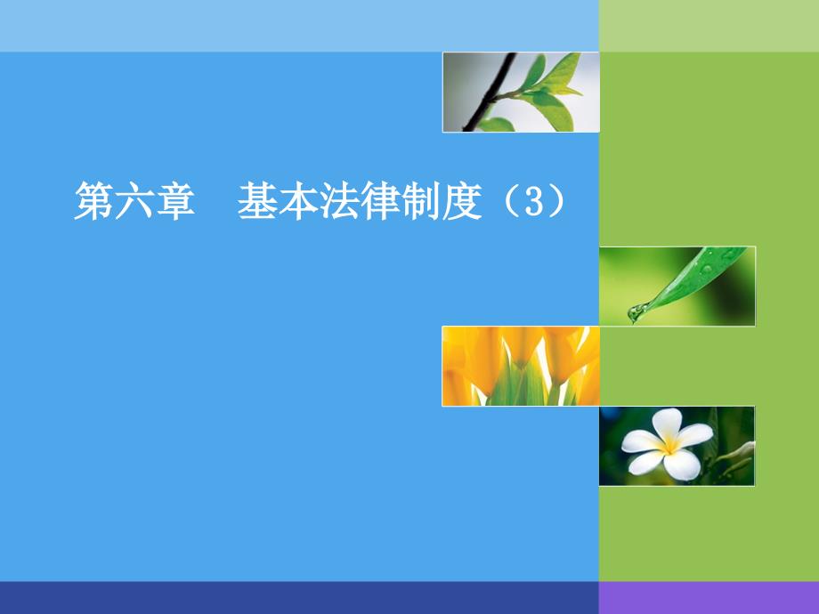 64基本法律制度(3)精编版_第1页