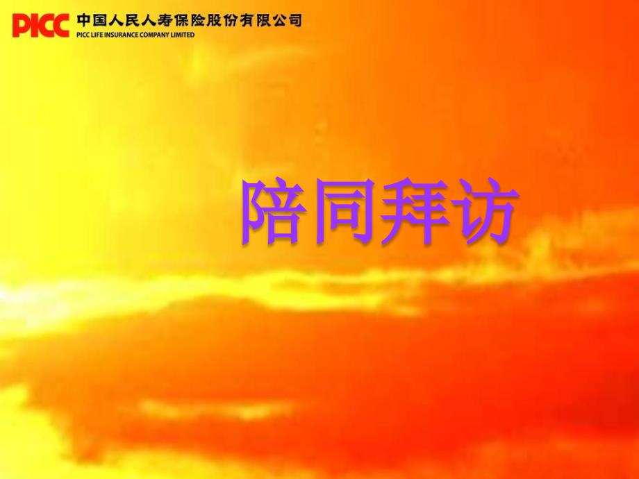 陪同拜访PPT课件_第1页