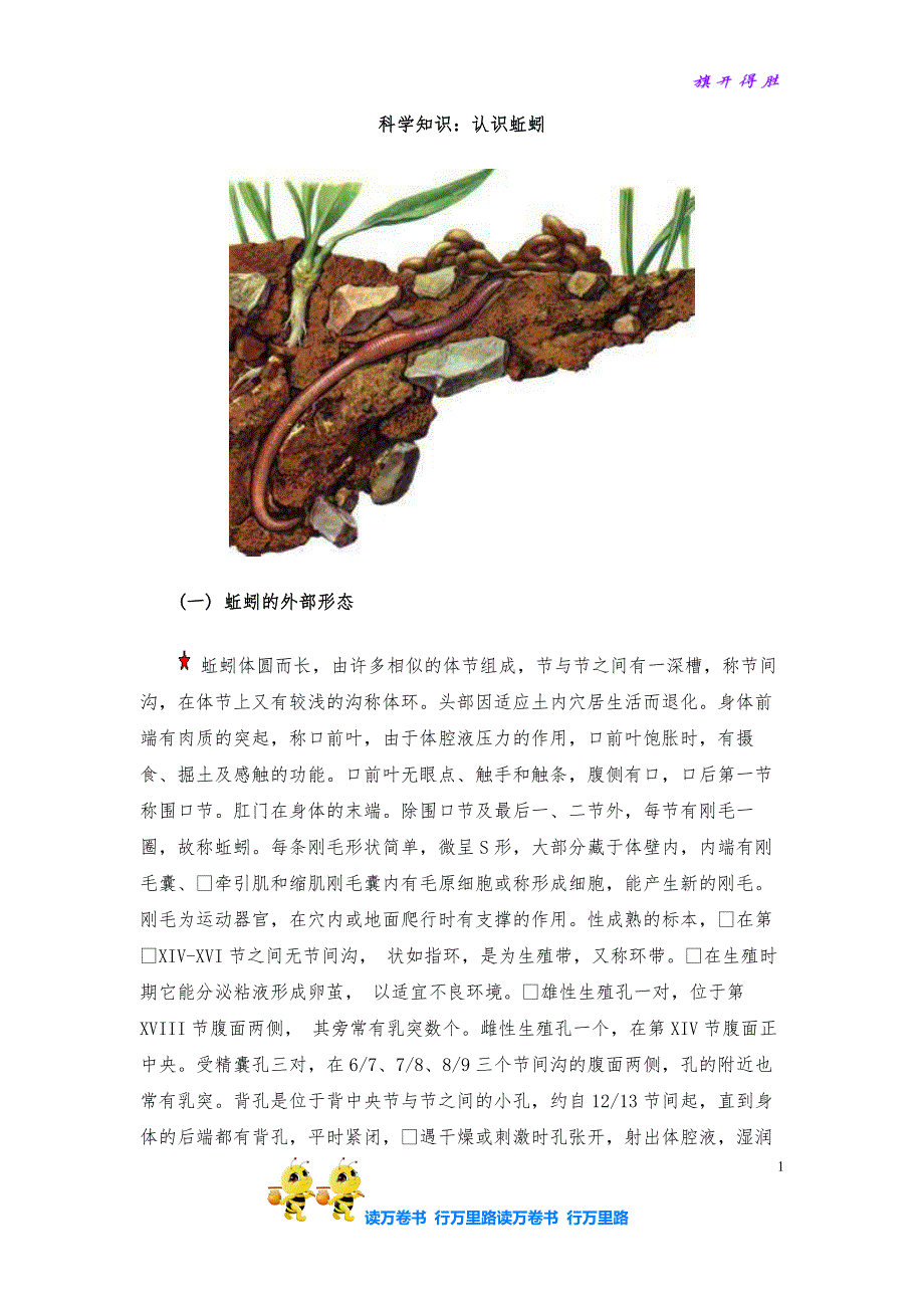 知识：认识蚯蚓【教科版小学科学精品资源】_第1页