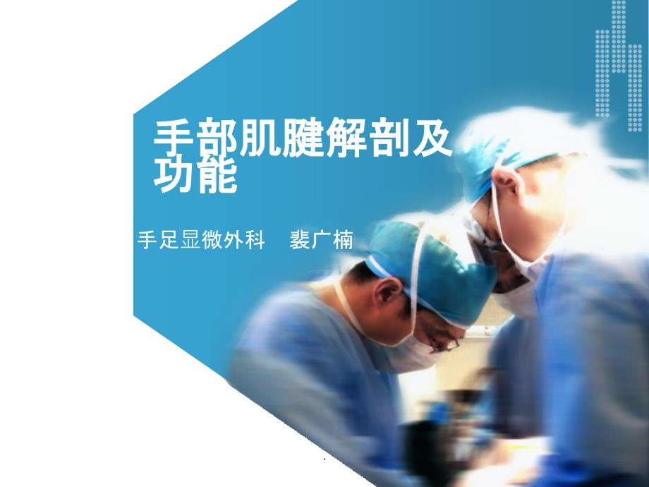 手部肌腱解剖及功能-手部小指肌腱解剖图解_第1页