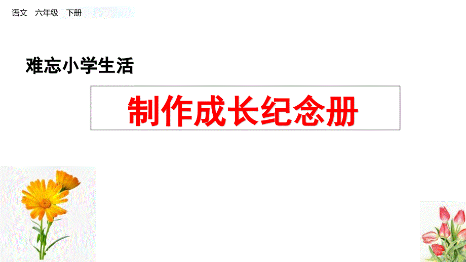 统编版语文六年级下册3-4.制作成长纪念册_第1页