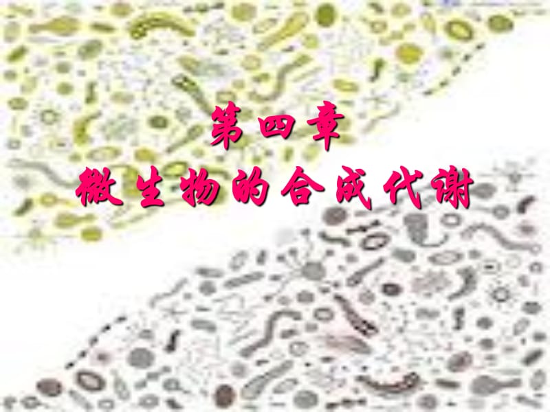 （推荐）《微生物的合成代谢》PPT课件_第1页