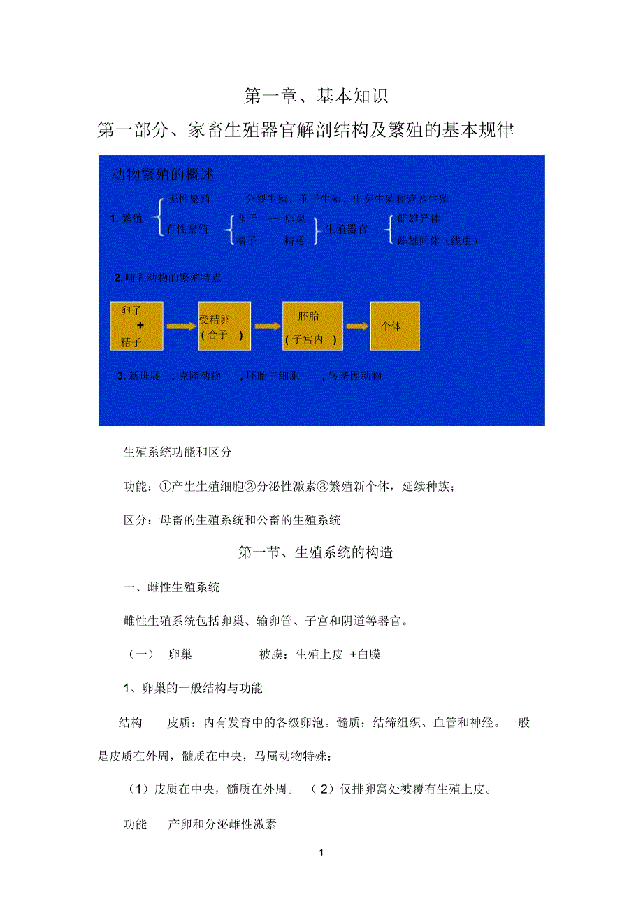 家畜生殖器官解剖结构及繁殖的基本规律_第1页