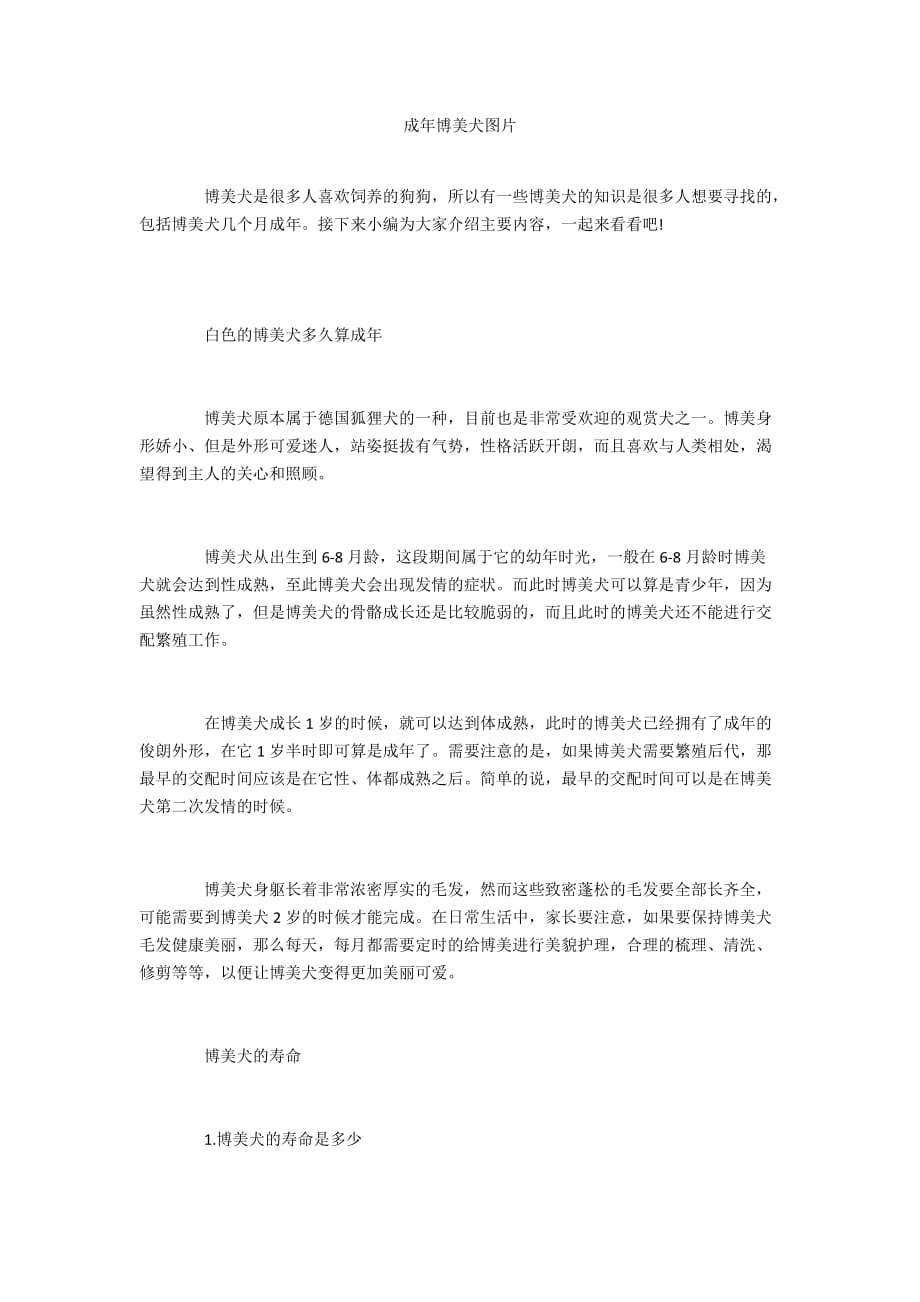 成年博美犬图片_第1页