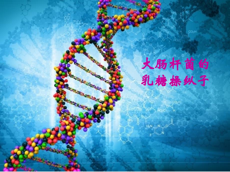大肠杆菌乳糖操纵子_第1页