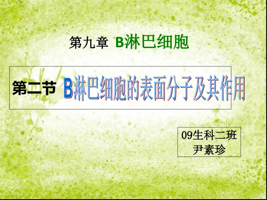 B淋巴细胞的表面分子及作用_第1页