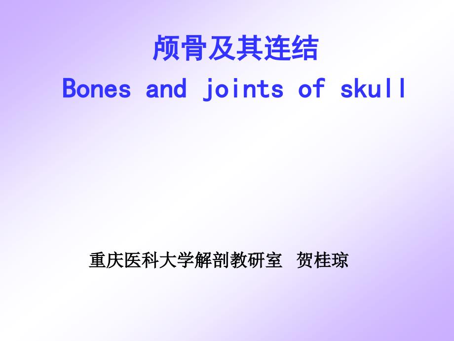 01-颅骨及连结_第1页