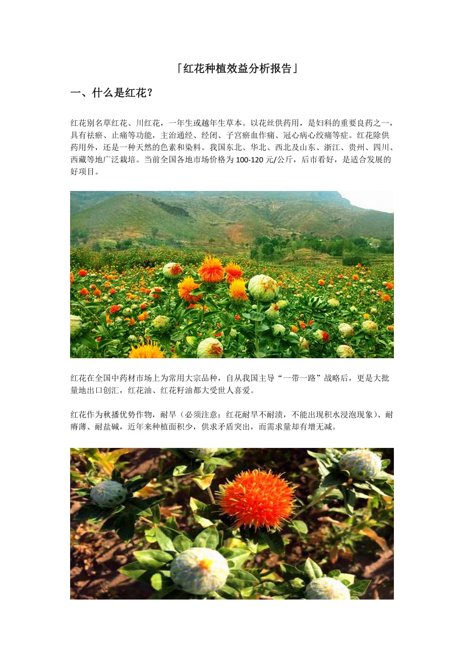 红花种植效益分析报告_第1页