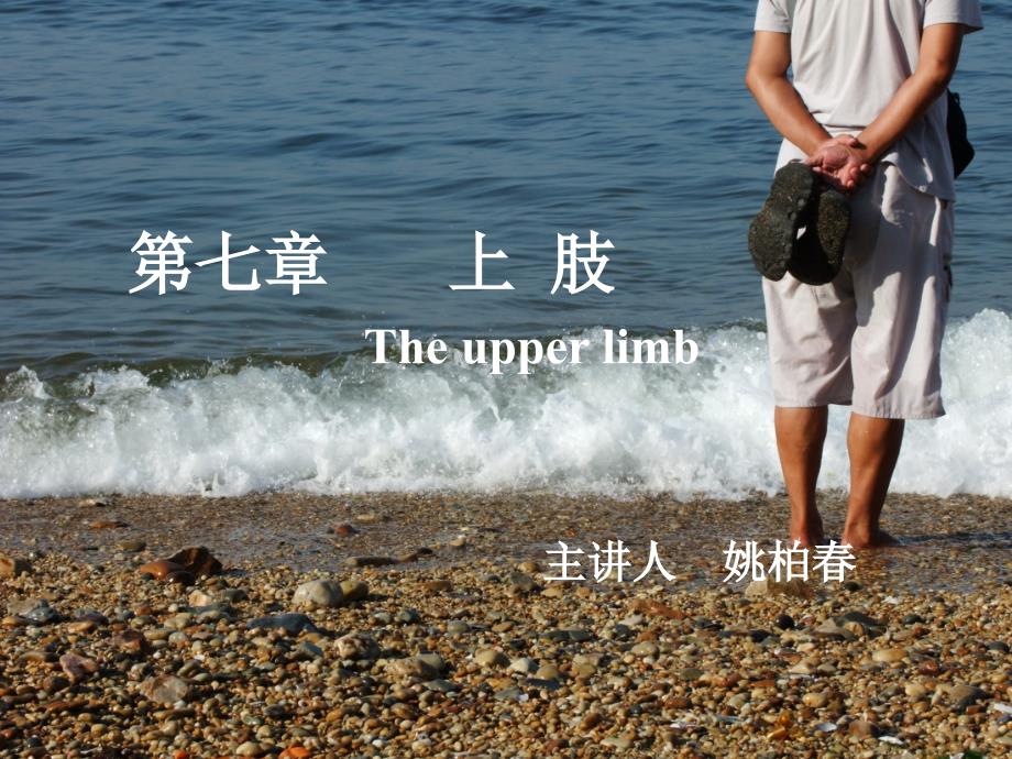 2014上肢解剖1_第1页