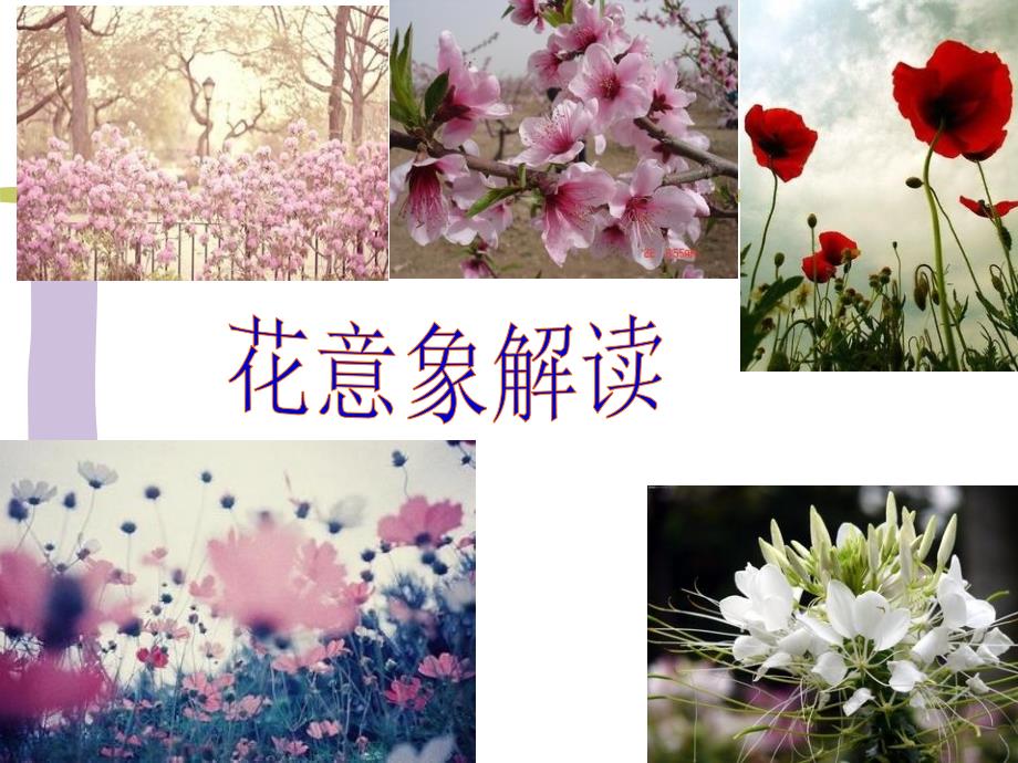 花意象解读_第1页
