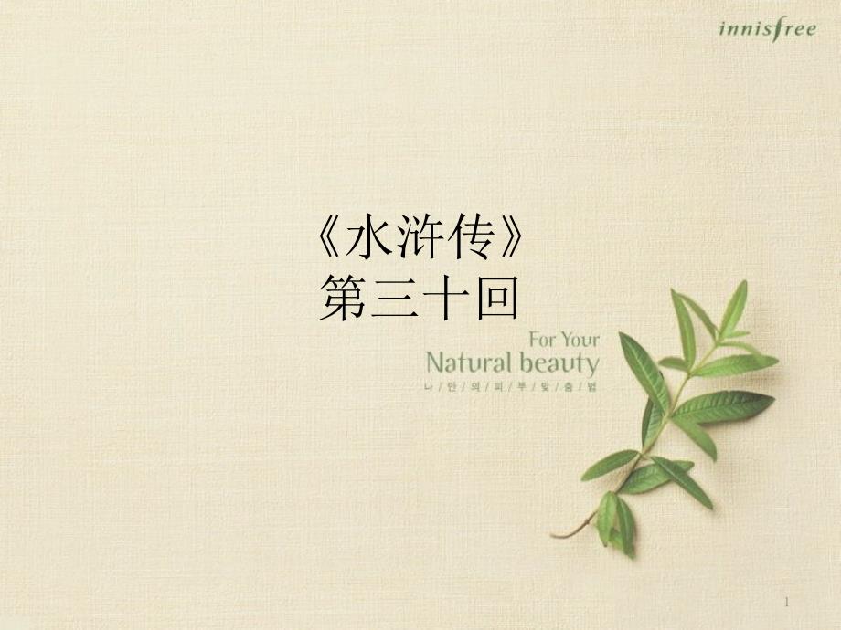 水浒传第3031回ppt课件.ppt_第1页
