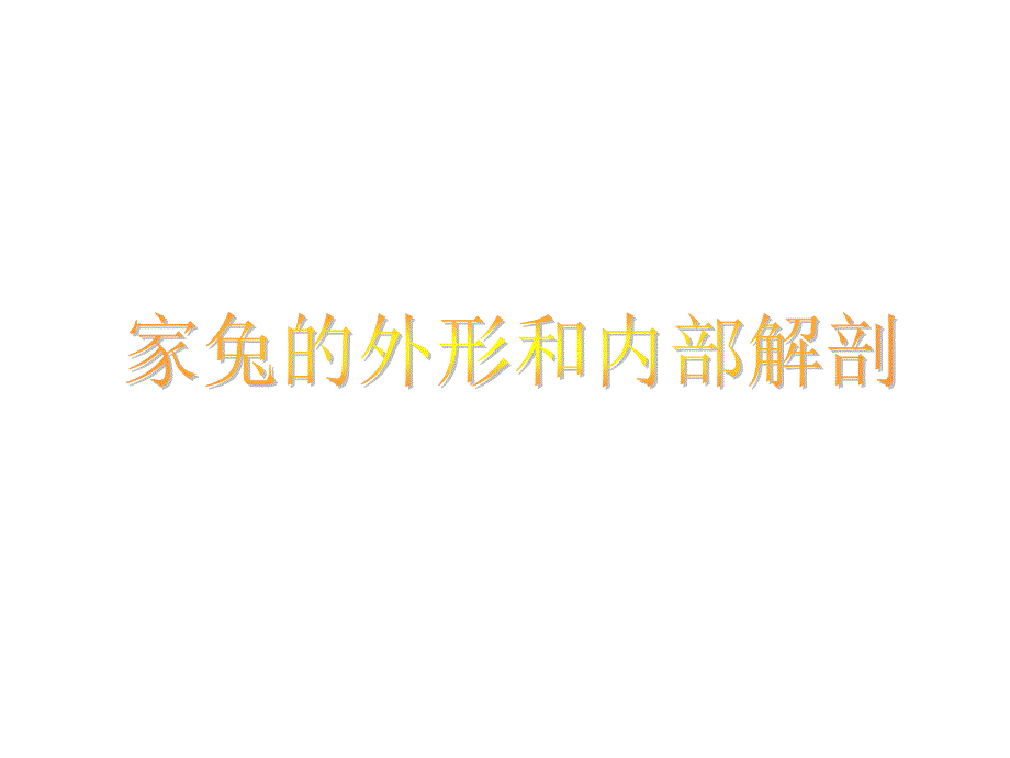 家兔的外形观察和内部解剖_第1页