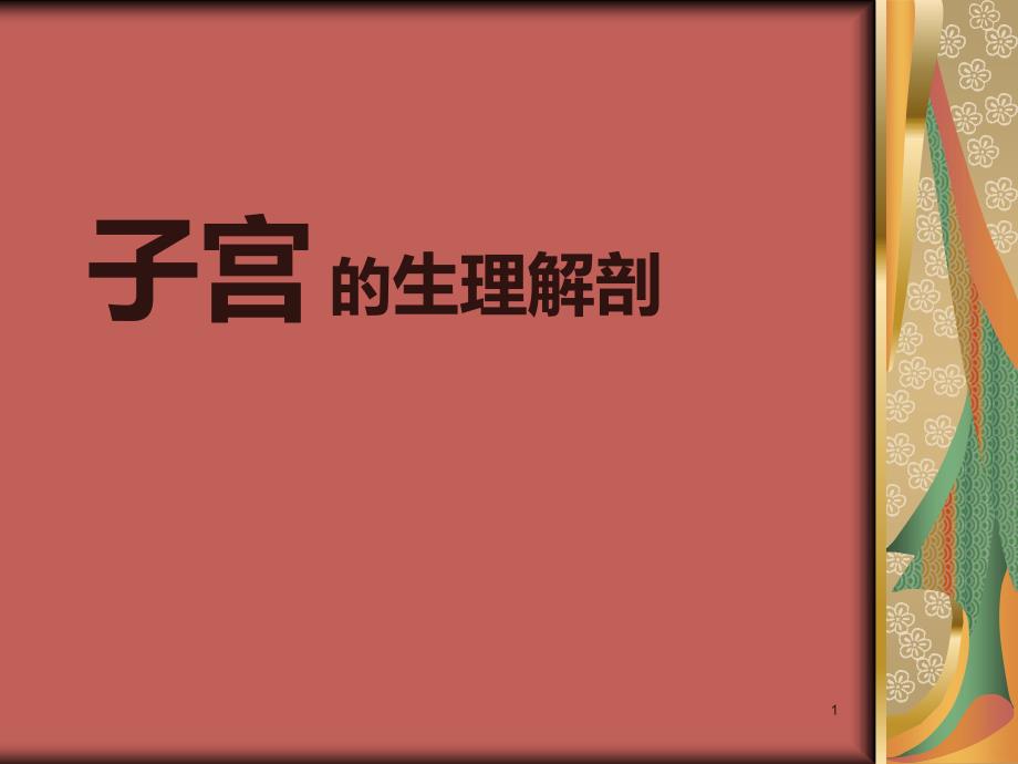 女性解剖图PPT课件.ppt_第1页