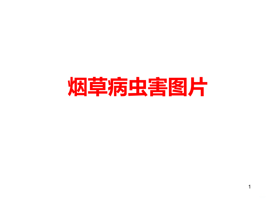 烟草病虫害图片(修改)PPT课件.ppt_第1页