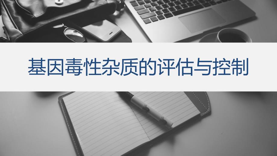 基因毒性杂质的评估与控制_第1页