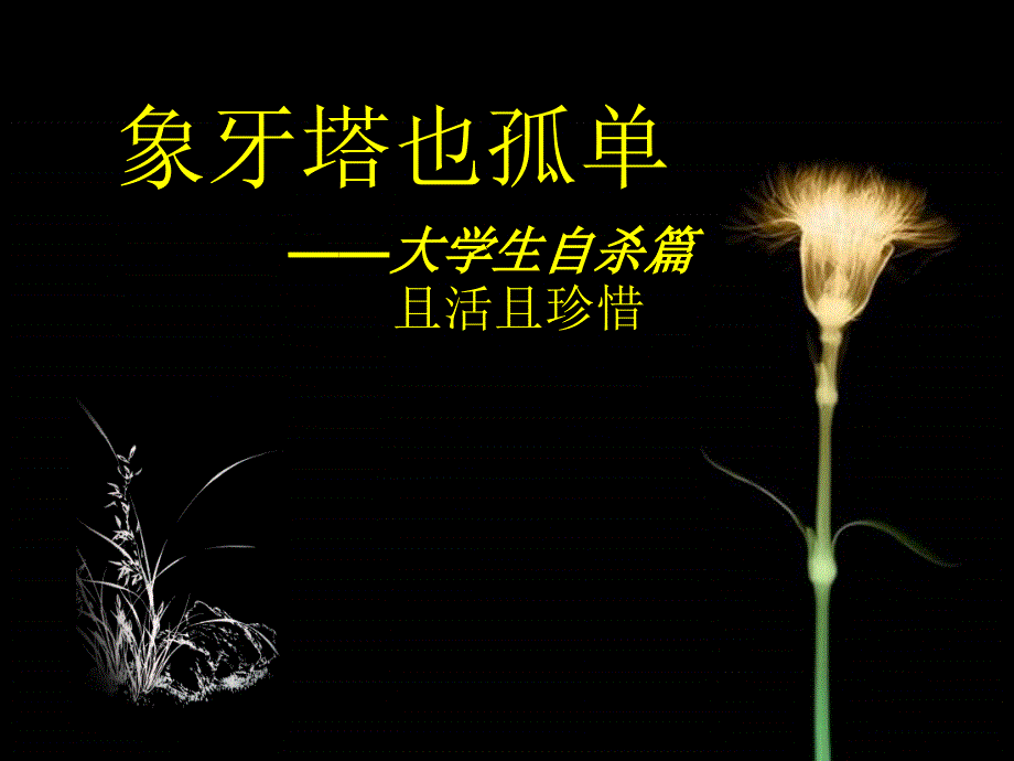 《大学生自杀》PPT课件.ppt_第1页