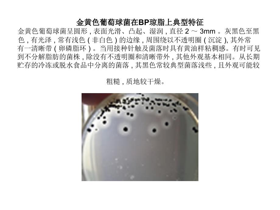 致病菌在培养基上的颜色变化照片11_第1页